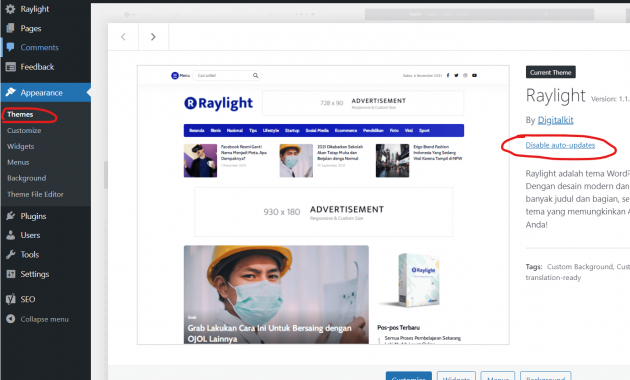cara aktifkan update otomatis tema wordpress
