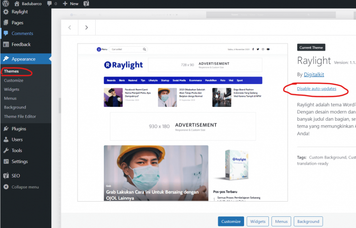 cara aktifkan update otomatis tema wordpress